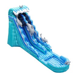 19' Dolphin Water Slide