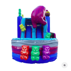 Screen20Shot202025 02 0220at201.10.4920PM 1739651575 Gummy Bear Bounce House Slide Combo (Wet or Dry)