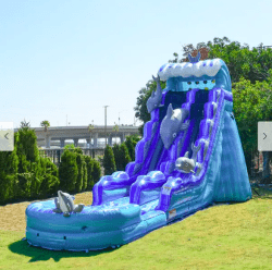 Screen20Shot202025 02 0220at2012.20.0320PM 1738709489.png 19' Dolphin Water Slide