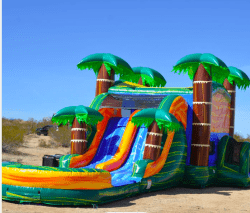 Screen20Shot202025 02 0220at2012.43.0320PM 1739650592 Cali Palms Bounce House Slide Combo (Wet or Dry)