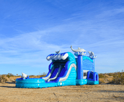 Screen20Shot202025 02 0220at2012.46.3220PM 1739650893 Dolphin Dual Lane Bounce House Slide Combo (Wet Or Dry)