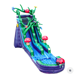 19' Enchanted Forest Water Slide