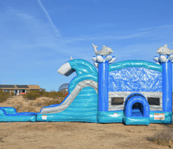 Screen20Shot202025 02 1520at202.20.3820PM 1739650894 Dolphin Dual Lane Bounce House Slide Combo (Wet Or Dry)